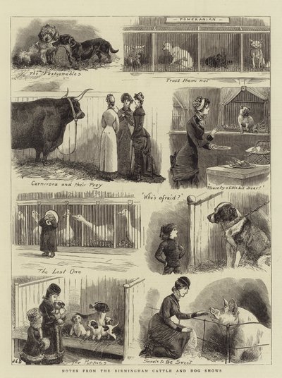Notas de las exposiciones de ganado y perros de Birmingham de John Charles Dollman